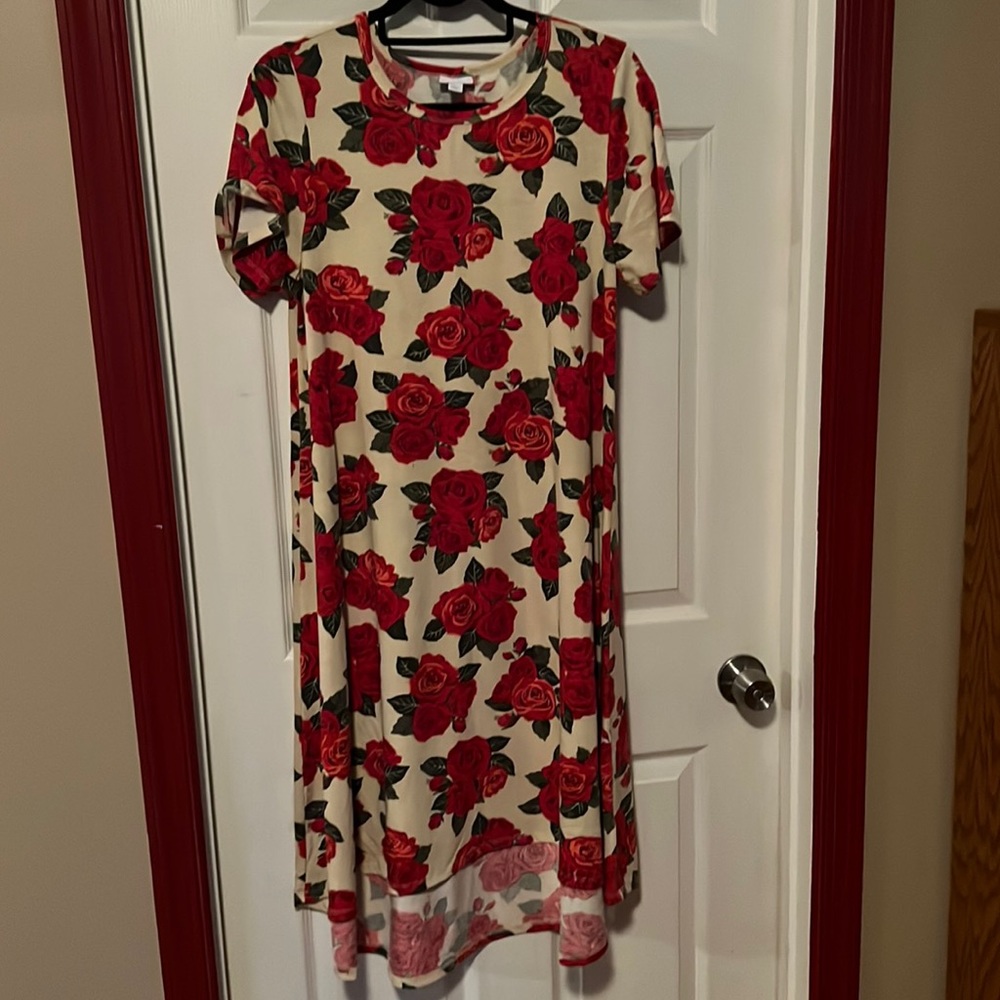 ⭐️BOGO⭐️ Lularoe L Carly